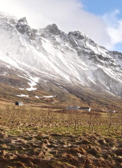 Esjan Villa Kjalarnes Bagian luar foto
