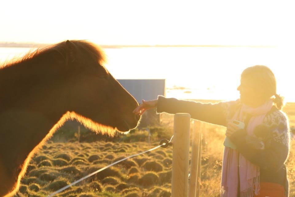 Esjan Villa Kjalarnes Bagian luar foto